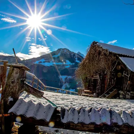 Gamslodge Chalet *